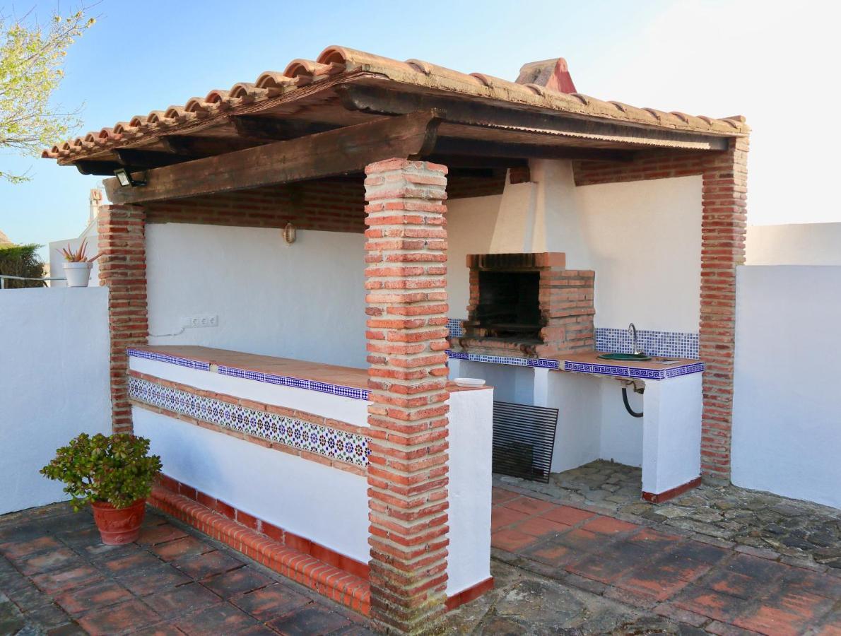 Fuente Del Gallo Nomada *